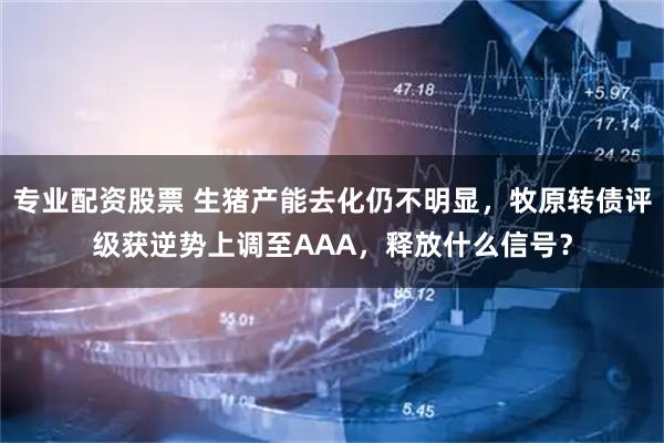专业配资股票 生猪产能去化仍不明显，牧原转债评级获逆势上调至AAA，释放什么信号？